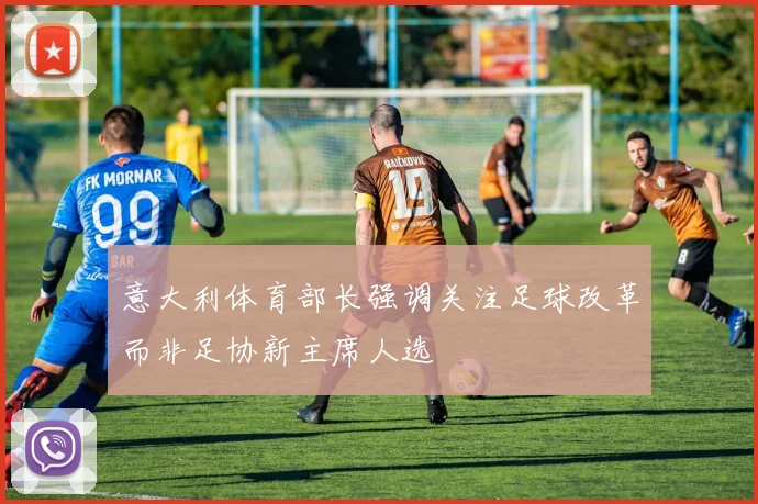 意大利体育部长强调关注足球改革而非足协新主席人选